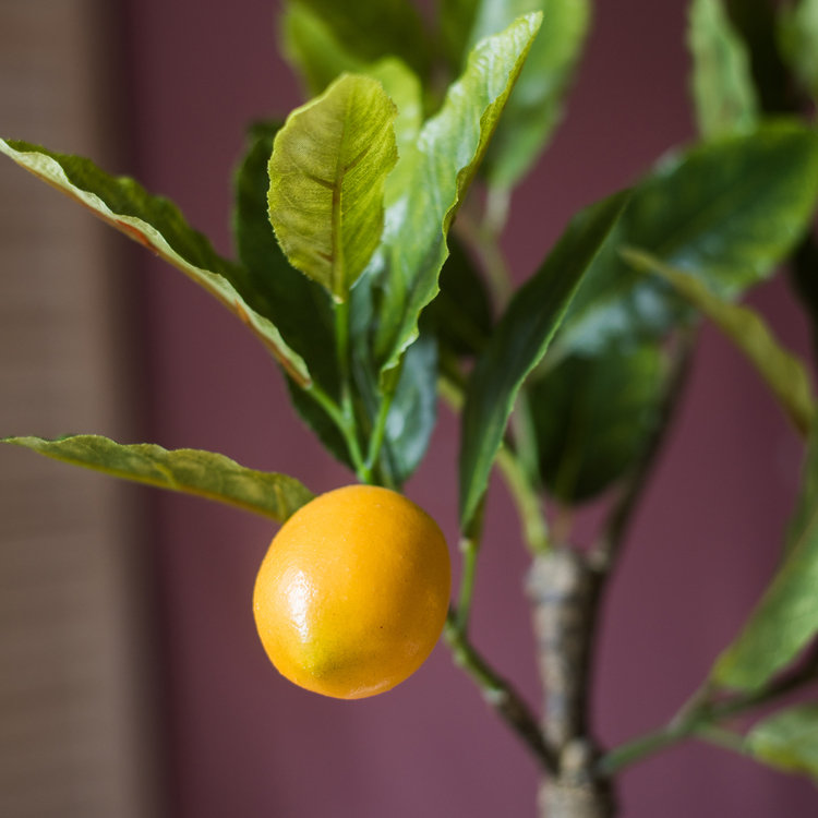 Charlton Home® 15.7'' Faux Lemon Plant in Planter Wayfair